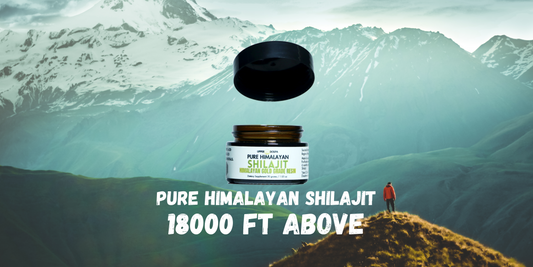 From 18,000 Feet – The Journey of Nepali Shilajit